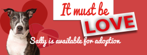 It Must Be Love Event Banner